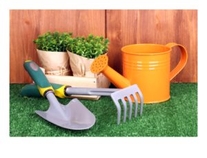 Gardening tools on wooden background