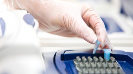 Certyfikat jakości GEDNAP dla testów ojcostwa wykonywanych przez testDNA