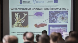 Wielki sukces wrocławskich uczonych