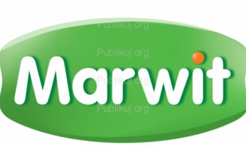 Marwit postawił na rozwiązania informatyczne INFOVER