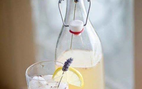 Lawendowa lemoniada i orzeźwiający napój miętowy