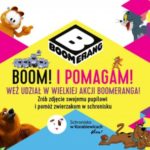 ?Boom! I pomagam!? Boomerang pomaga bezdomnym zwierzakom