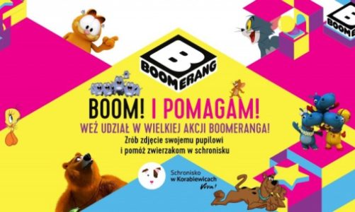 ?Boom! I pomagam!? Boomerang pomaga bezdomnym zwierzakom