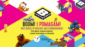 ?Boom! I pomagam!? Boomerang pomaga bezdomnym zwierzakom Dziecko, LIFESTYLE - Rusza kampania charytatywna Boom! I pomagam!?, której celem jest pomoc bezdomnym zwierzętom mieszkającym w schronisku