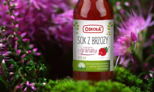Sok z brzozy posmakuj siły natury