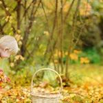 Jesienne sposoby na spędzenie czasu z dzieckiem
