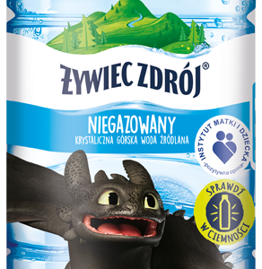 Bohaterowie przeboju kinowego Jak wytresować smoka 3?