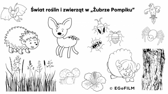 Co jada dzik? – jak filmy animowane wspierają edukację najmłodszych