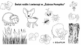 Co jada dzik? - jak filmy animowane wspierają edukację najmłodszych Dziecko, LIFESTYLE - Dzieci szybciej przyswajają różnego rodzaju informacje, kiedy angażują wszystkie swoje zmysły. W bardziej przystępnym przekazywaniu wiedzy przedszkolakom bądź uczniom klas I-III może pomóc film często wartościowe źródło np. ciekawostek przyrodniczych.