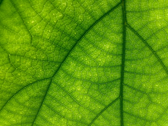 Świadomość klimatyczna Polaków: ile tak naprawdę wiemy o postępujących zmianach Zdrowie, LIFESTYLE - Niemal każdy z nas uważa, że zmiany klimatu są poważnym problemem. Obawiamy się skutków zmian klimatu ? wichur, powodzi, suszy. Widzimy, że troska o środowisko to troska o zdrowie człowieka (...)