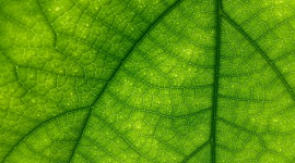 Świadomość klimatyczna Polaków: ile tak naprawdę wiemy o postępujących zmianach Zdrowie, LIFESTYLE - Niemal każdy z nas uważa, że zmiany klimatu są poważnym problemem. Obawiamy się skutków zmian klimatu ? wichur, powodzi, suszy. Widzimy, że troska o środowisko to troska o zdrowie człowieka (...)