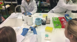 Rozwijają skrzydła na Fabrycznej. Edukacyjny projekt w ZSS w Białymstoku