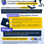 Wścieklizna (łac.rabies) śmiertelna choroba zakaźna, przed którą możemy się chronić