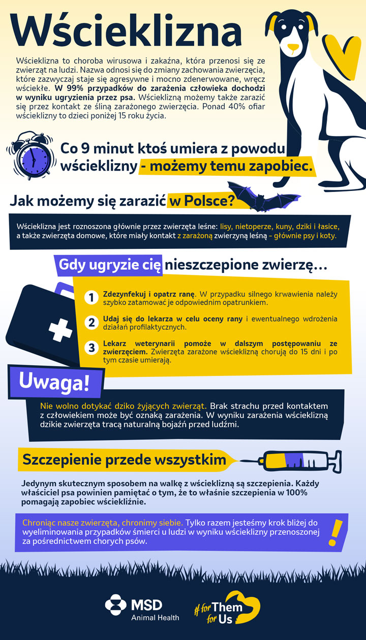 Wścieklizna (łac.rabies) śmiertelna choroba zakaźna, przed którą możemy się chronić