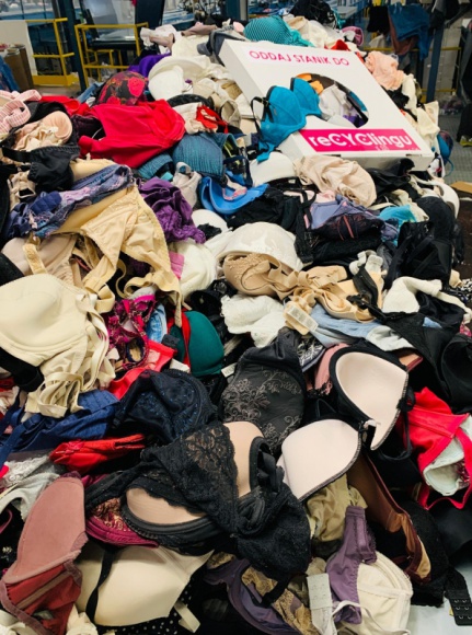 woj. podkarpackie - 4 lutego to Światowy Dzień Walki z Rakiem Piersi Zdrowie, LIFESTYLE - Ponad 2 000 biustonoszy do reCYClingu zebrano w województwie podkarpackim w ramach 10 jubileuszowej kampanii DOTYKAM=WYGRYWAM.